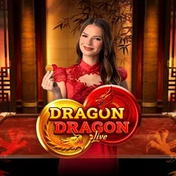 Dragon Dragon